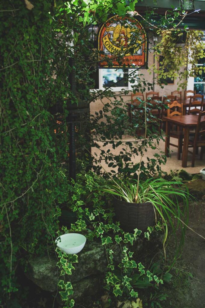 Yago's English Pub Mondariz Balneario - Bar Restaurante - Jardín Terraza